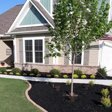 Black Rubber Mulch Front Yard