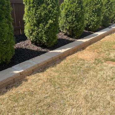 Brown Rubber Mulch with Hedges