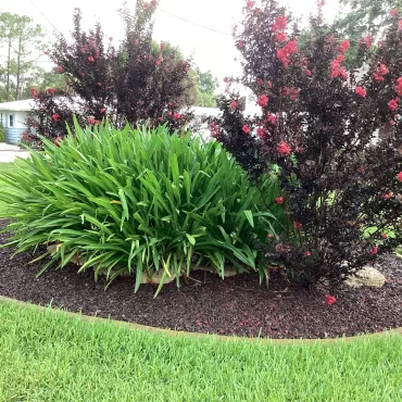Landscaping island with rubber mulch ground cover