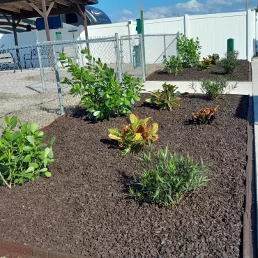 Dog park with rubber mulch landscaping