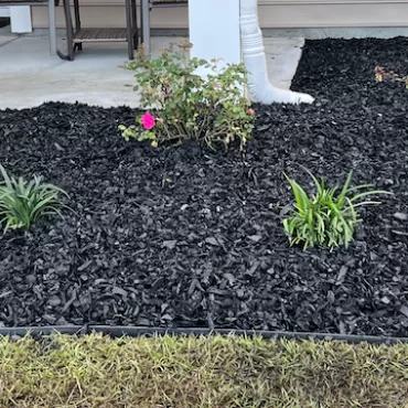 New garden with black rubber mulch