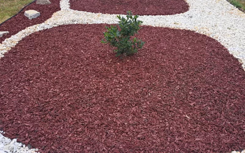 hedge divider using red rubber mulch