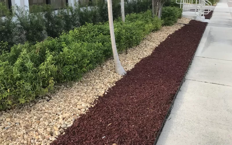 Office building with red rubber mulch landscaping
