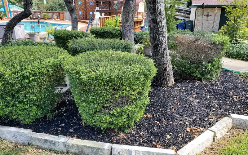 Black Rubber Mulch in Stone Edged Flower Beds
