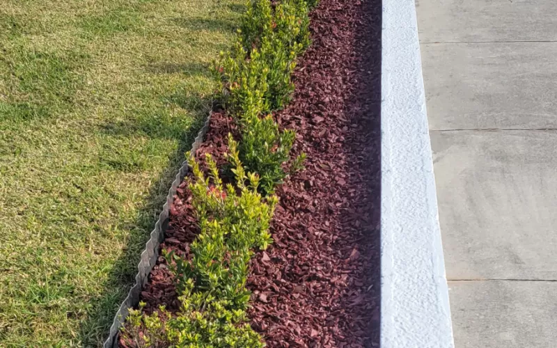Red Rubber Mulch Landscaping with Tin Edging