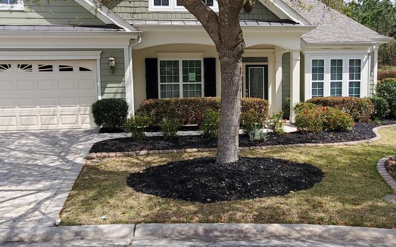 A front yard with black rubber mulch in the garden beds