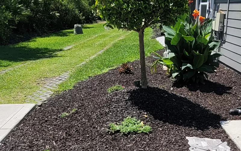 Sideyard landscaping beds with rubber mulch in lieu of wood mulch
