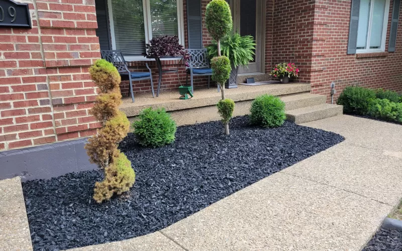 Black Rubber Mulch Landscaping at Entrance
