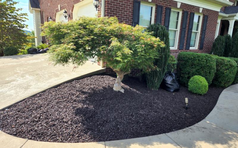 Brown Rubber Mulch Residential Landscaping