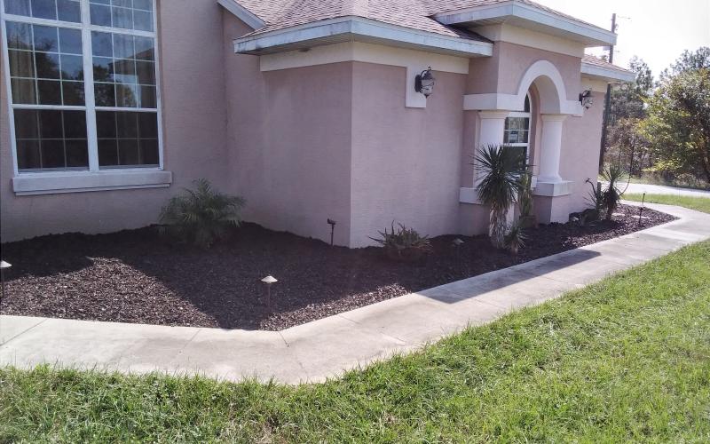 Rubber mulch adjacent to house and sidewalk