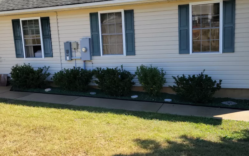 Front walkway of house lined with green rubber mulch