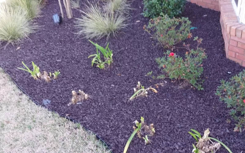 Fresh new brown landscape rubber mulch in garden bed