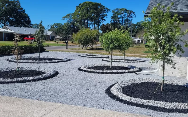 Rubber Mulch in Front Tree Rings