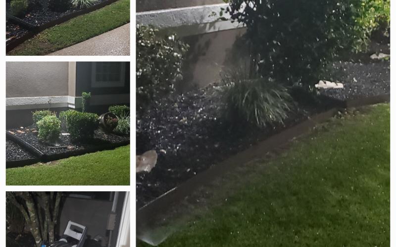 Black Rubber Mulch Flower Beds