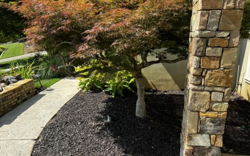 Front landscaping beds with brown rubber mulch