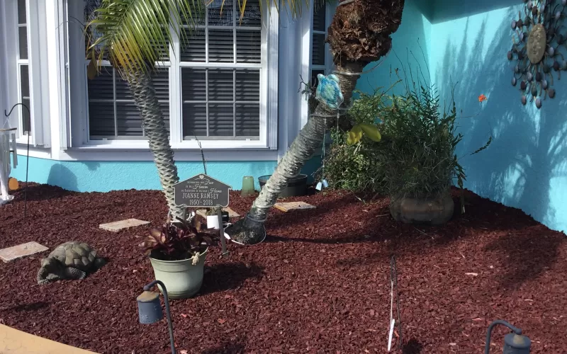 Florida Red Rubber Mulch in Front Yard Landscaping
