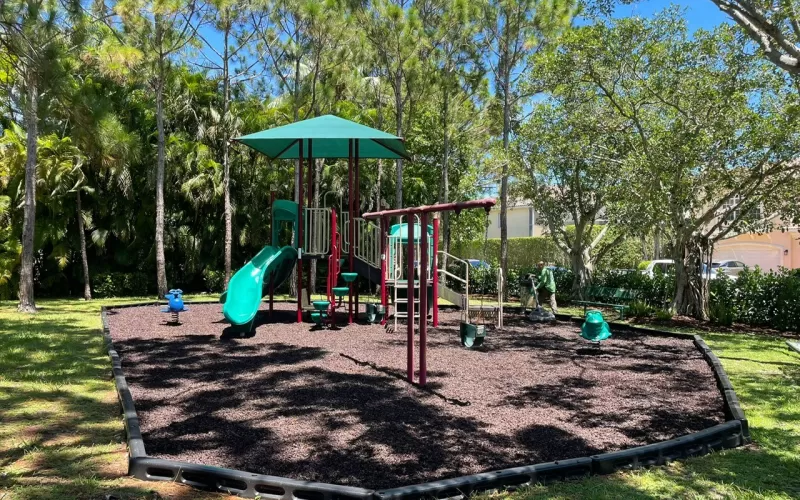 Playground with Brown Rubber Mulch