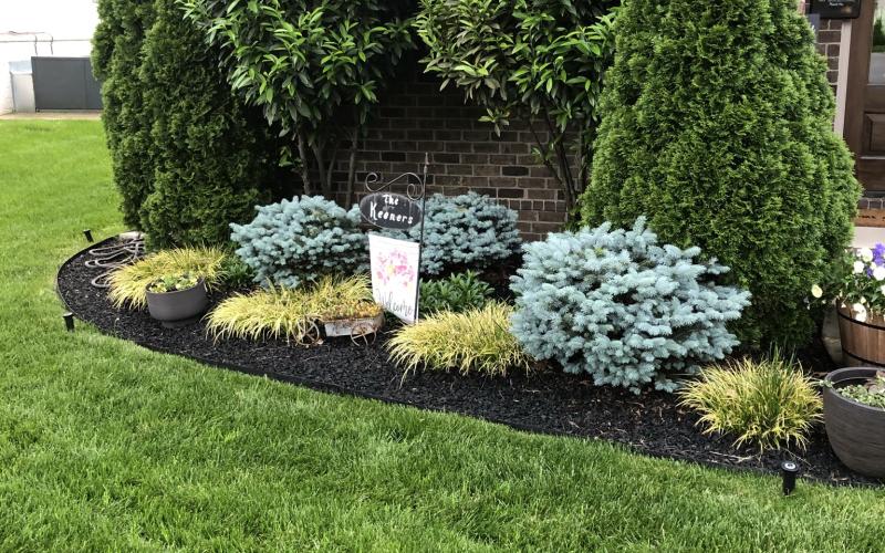 Rubber Mulch Landscaping