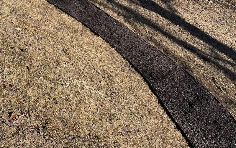 Backyard dog path with rubber mulch