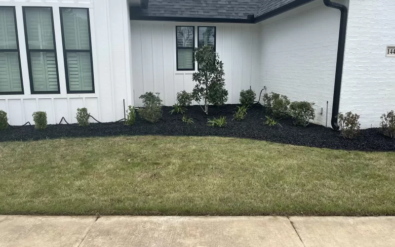 White House with Black Rubber Mulch Landscaping