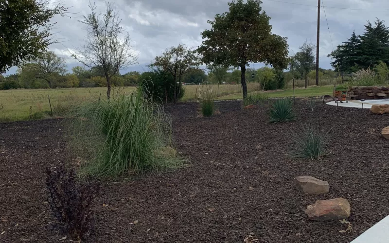 Landscape with rubber mulch as alternative to grass