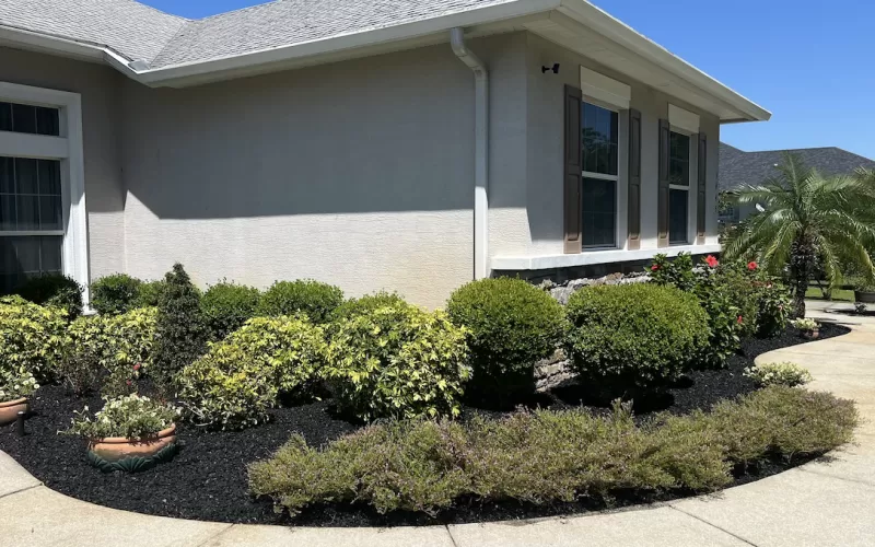 Black Rubber Mulch Front Landscape Beds