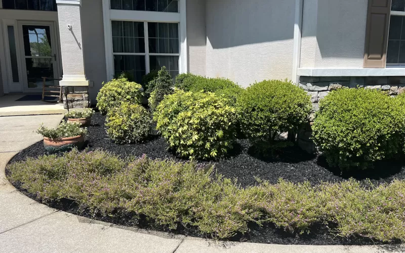 Black Rubber Mulch Front Landscaping