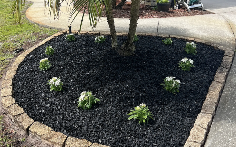 Black Rubber Mulch Tree Bed
