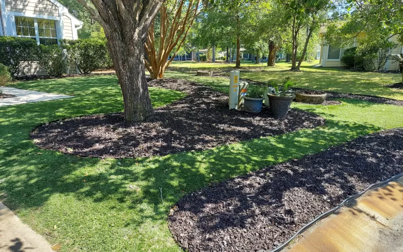 Front Yard Brown Rubber Mulch Landscaping