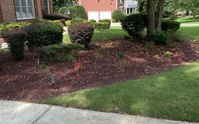 Red Rubber Mulch Landscaping Front Yard