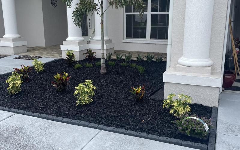 Front Beds With Black Landscape Rubber Mulch