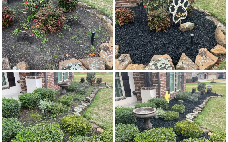 Front Yard Rubber Mulch Transformation