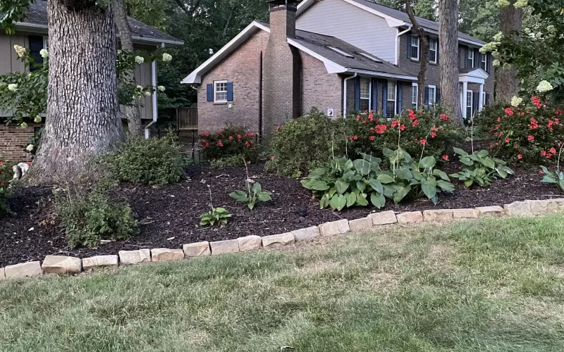 Rubber Mulch Landscaping in Wooded Area