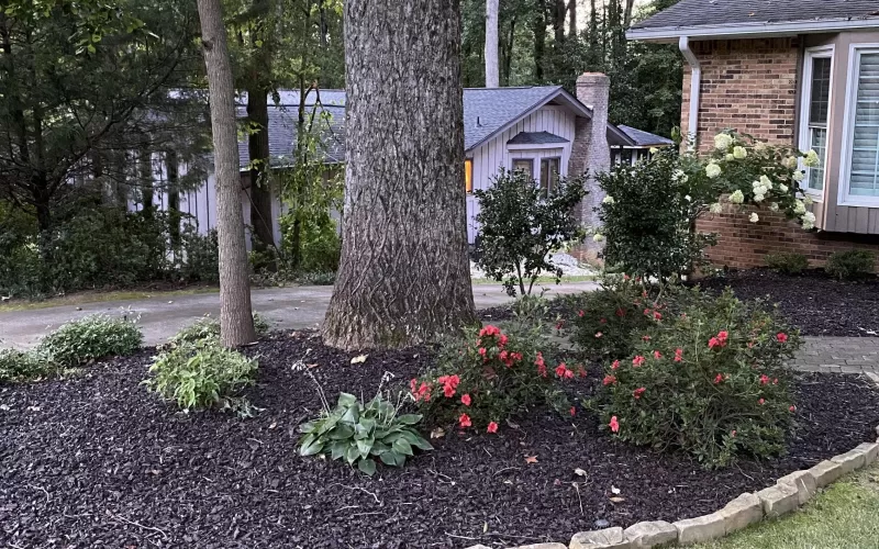 Rubber Mulch Residential Landscape Around a Tree