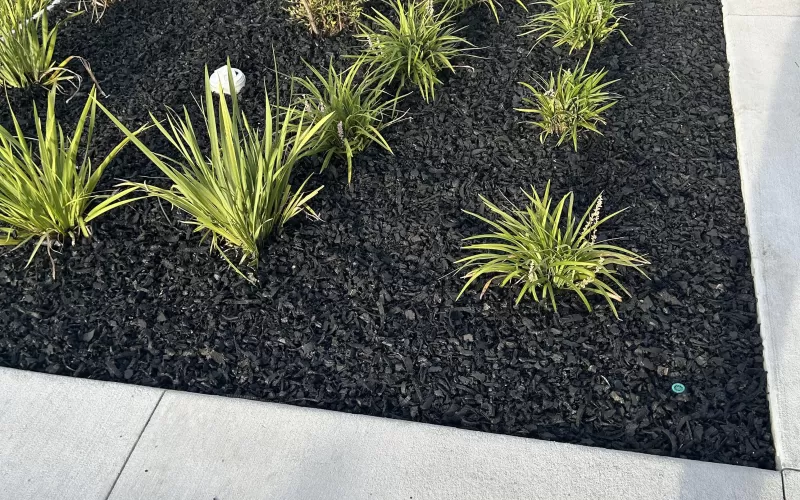 Rubber Mulch in Flower Beds