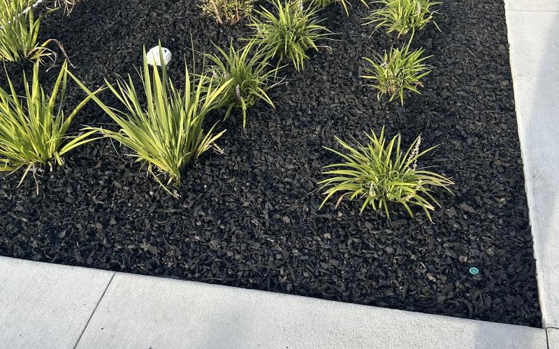 Rubber Mulch in Flower Beds