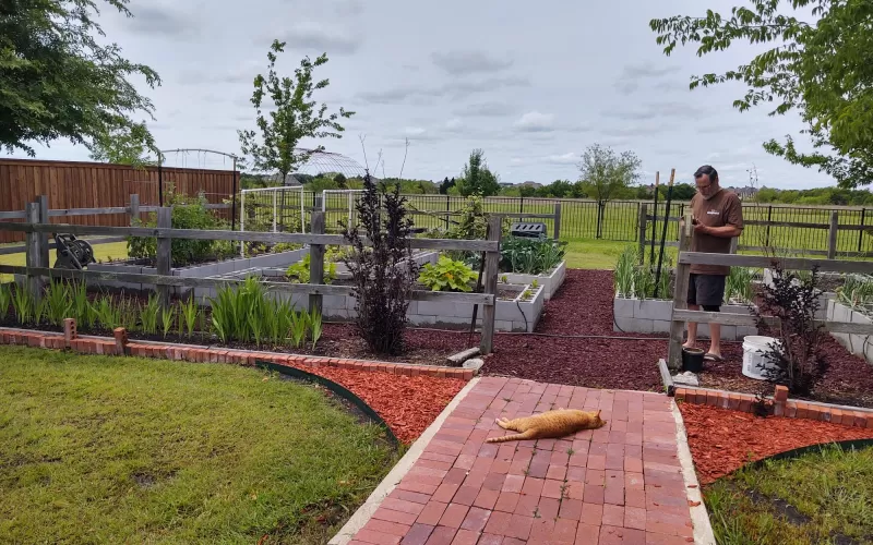 Rubber mulch pathway in raised garden