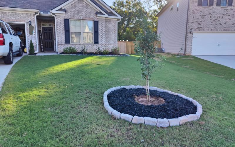 Black rubber mulch surrounding a tree with stone edging