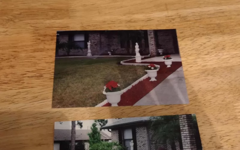 Red Rubber Mulch Front Yard Landscaping