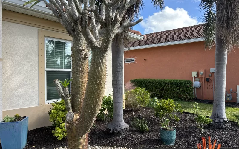 Brown Landscape Rubber Mulch