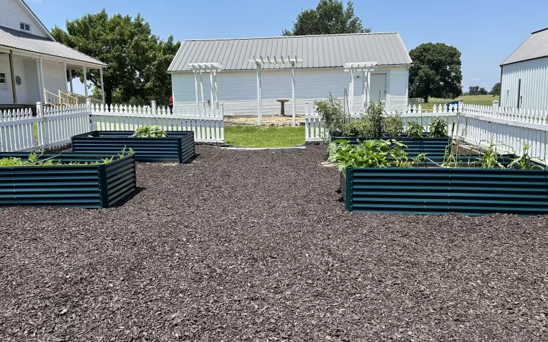 Raised Garden Bed with Brown Rubber Mulch