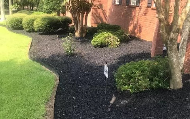 Black rubber mulch residential front yard landscaping