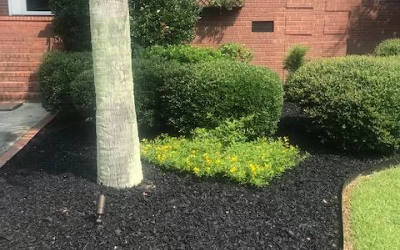 Black rubber mulch landscaping