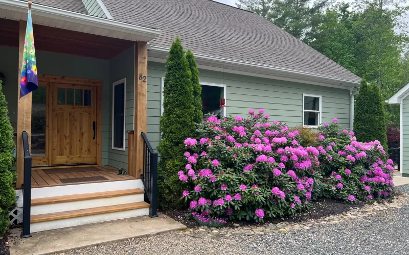 Brown rubber mulch in the front yard landscape beds
