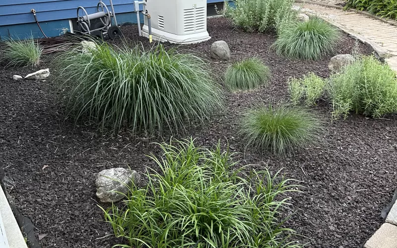 Brown Rubber Mulch Entry Garden