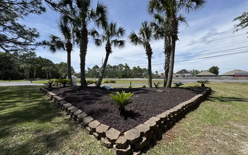 Brown Landscape Rubber Mulch Photo