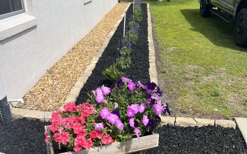 Black Rubber Mulch Garden Bed