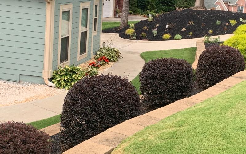 Black Rubber Mulch on Stepped Landscaping