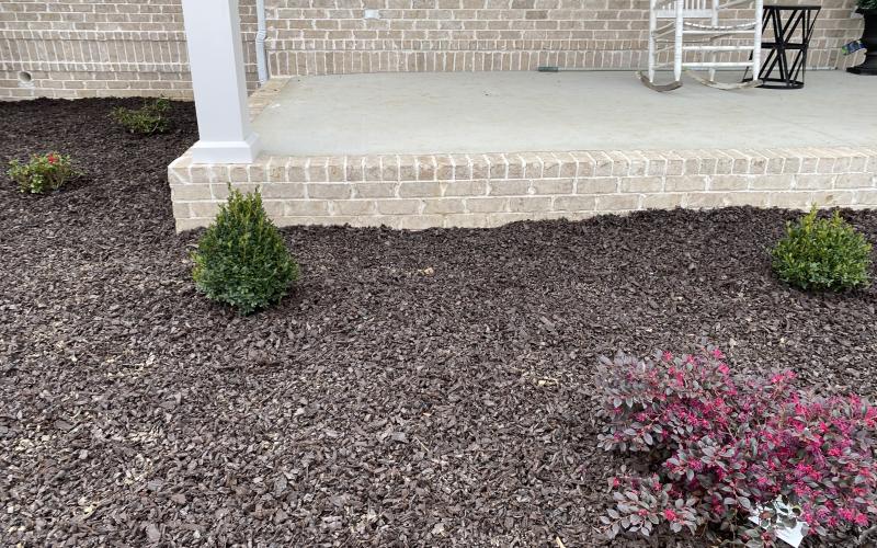 Rubber mulch in garden bed with shrubs