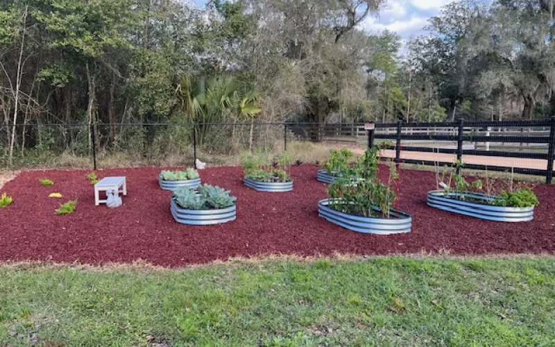 Rubber Mulch Raised Garden Bed Flooring